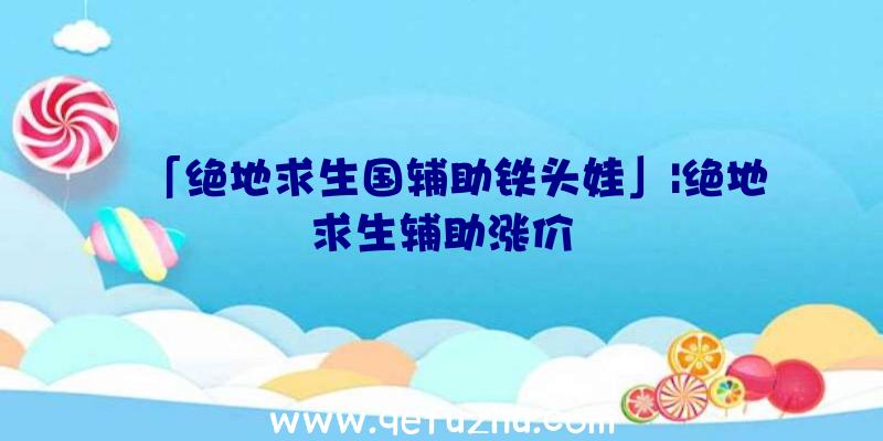 「绝地求生国辅助铁头娃」|绝地求生辅助涨价